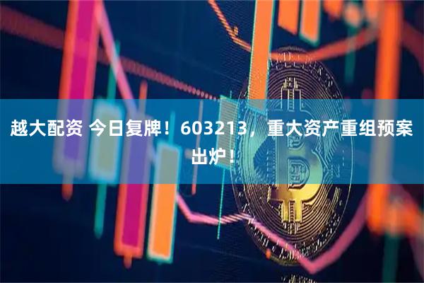 越大配资 今日复牌！603213，重大资产重组预案出炉！