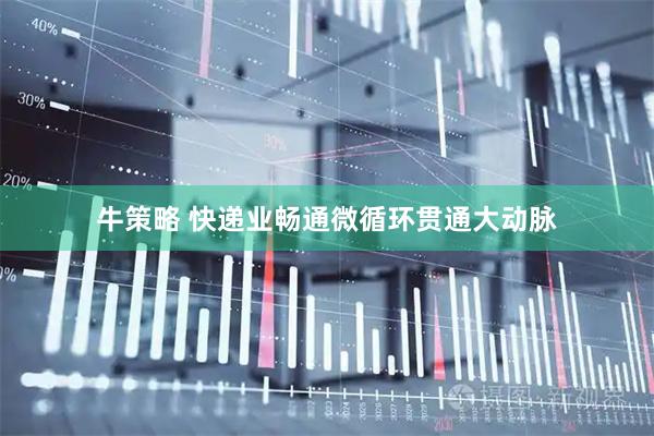 牛策略 快递业畅通微循环贯通大动脉