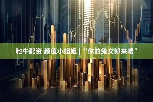 驰牛配资 颜值小姐姐 | “你的兔女郎来喽”