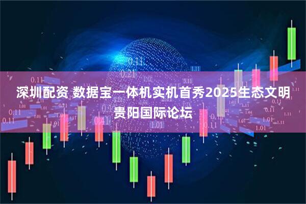 深圳配资 数据宝一体机实机首秀2025生态文明贵阳国际论坛