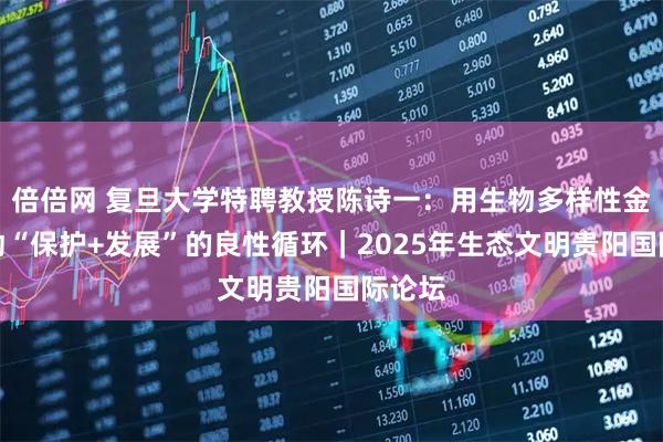 倍倍网 复旦大学特聘教授陈诗一：用生物多样性金融推动“保护+发展”的良性循环｜2025年生态文明贵阳国际论坛