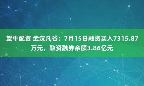 望牛配资 武汉凡谷：7月15日融资买入7315.87万元，融资融券余额3.86亿元